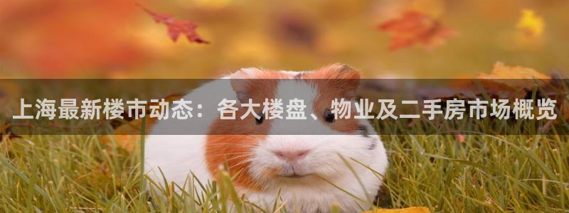 新宝5娱乐登录：上海最新楼市动态：各大楼盘、物业及二手房市场