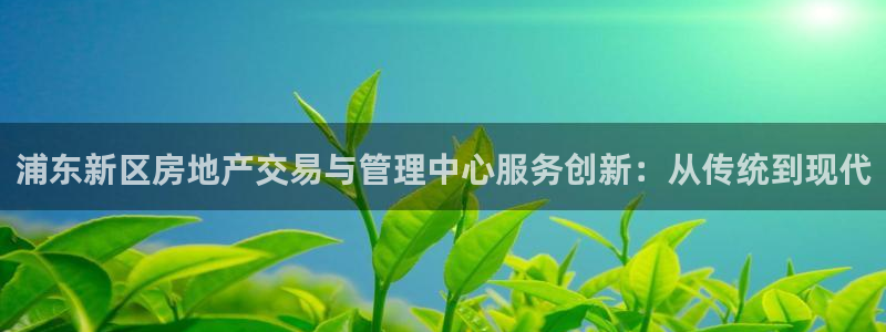 新宝5现在还能玩吗：浦东新区房地产交易与管理中心服务创新：从