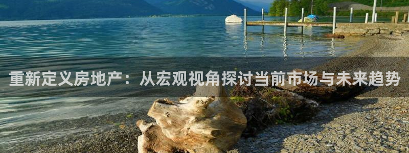 新宝5在哪里：重新定义房地产：从宏观视角探讨当前市场与未来趋