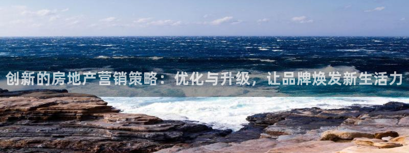 新宝5是谁：创新的房地产营销策略：优化与升级，让品牌焕发新生