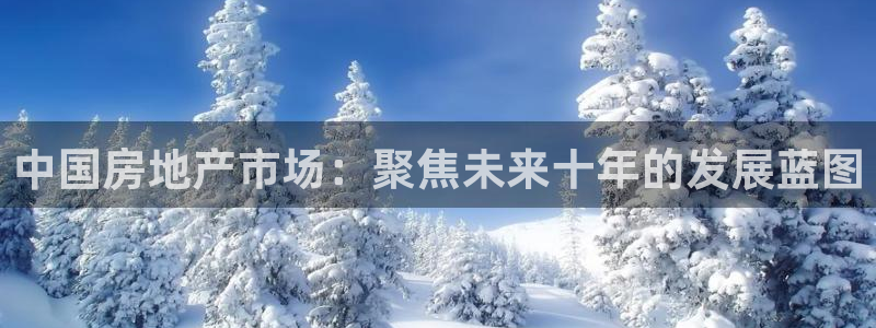 新宝新5：中国房地产市场：聚焦未来十年的发展蓝图