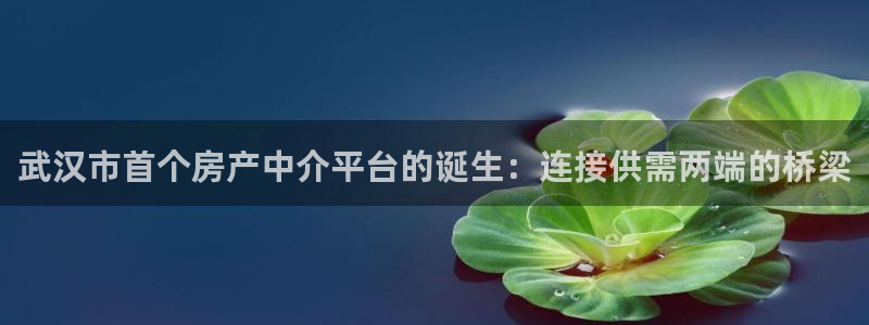 新宝5娱乐经：武汉市首个房产中介平台的诞生：连接供需两端的桥
