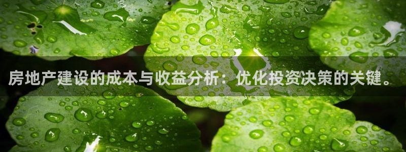 i新宝5：房地产建设的成本与收益分析：优化投资决策的关键。