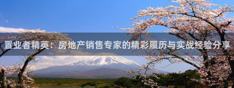 皇冠新宝5：置业者精英：房地产销售专家的精彩履历与实战经验分
