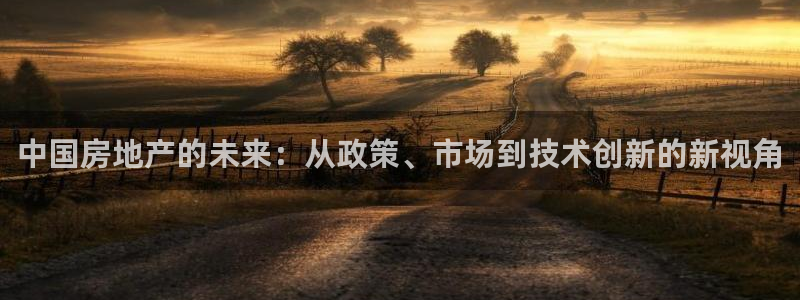 新宝5蒋74OOO5：中国房地产的未来：从政策、市场到技术创