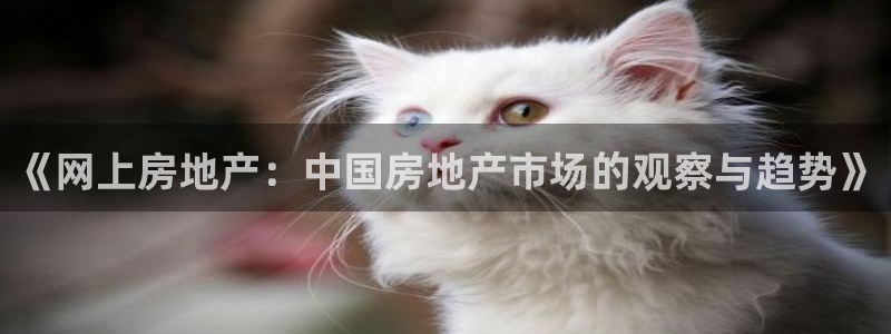 新宝5测速下载：《网上房地产：中国房地产市场的观察与趋势》