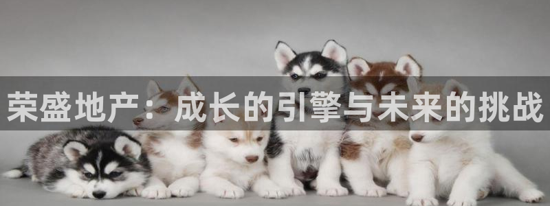 新宝5-：荣盛地产：成长的引擎与未来的挑战