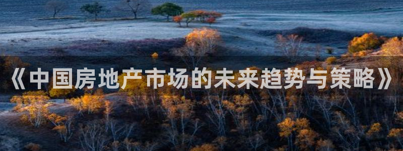 i新宝5：《中国房地产市场的未来趋势与策略》