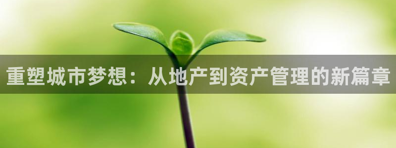 新宝5官网平台：重塑城市梦想：从地产到资产管理的新篇章