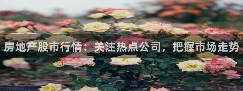 有人知道新宝5么：房地产股市行情：关注热点公司，把握市场走势