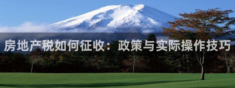 新宝5官方下载地址：房地产税如何征收：政策与实际操作技巧