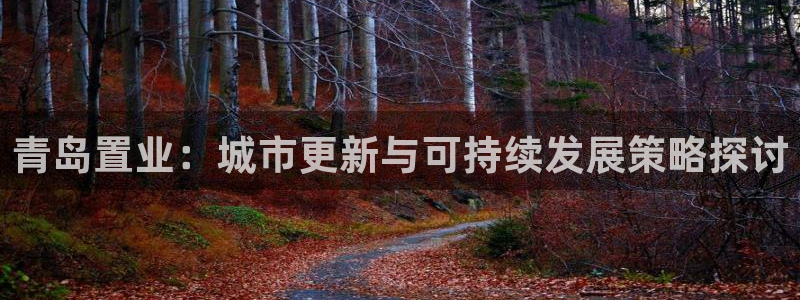 新宝5官网