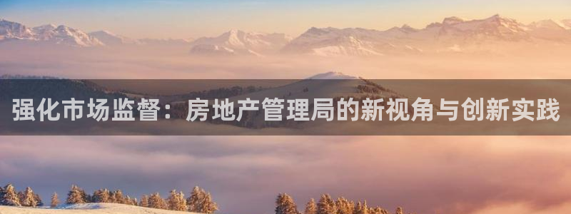 新宝测速5：强化市场监督：房地产管理局的新视角与创新实践