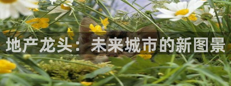 新宝5平台登录：地产龙头：未来城市的新图景