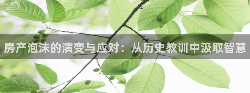 皇冠新宝5：房产泡沫的演变与应对：从历史教训中汲取智慧