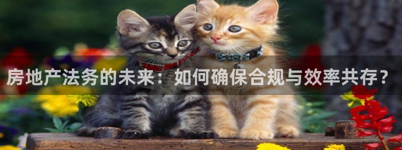 新宝5娱乐没：房地产法务的未来：如何确保合规与效率共存？