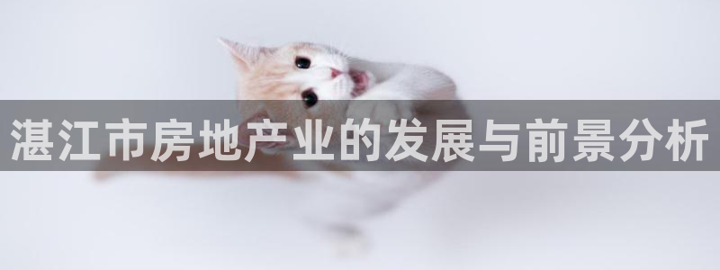 新宝5手机测速：湛江市房地产业的发展与前景分析