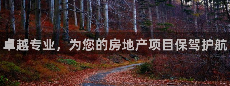 新宝5软件下载：卓越专业，为您的房地产项目保驾护航