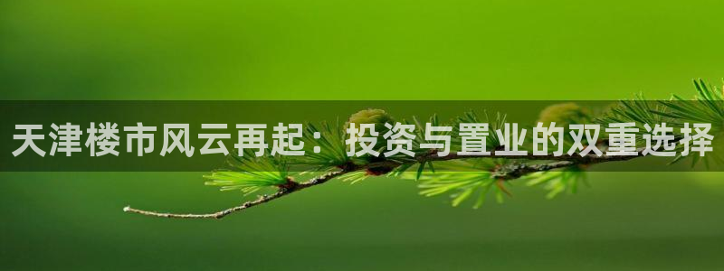 新宝5下载软件：天津楼市风云再起：投资与置业的双重选择