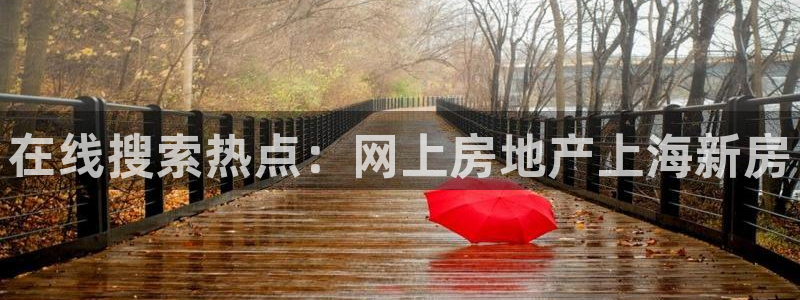 新宝5什么时候上市：在线搜索热点：网上房地产上海新房