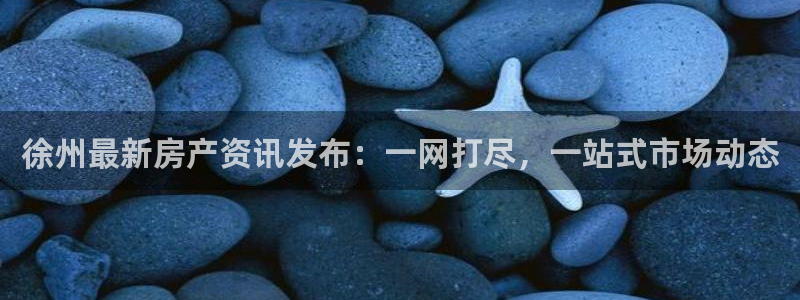 新宝5下载 迅雷下载