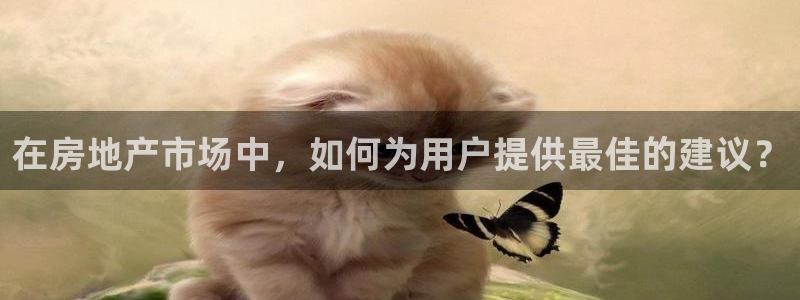 新宝5注册平台：在房地产市场中，如何为用户提供最佳的建议？