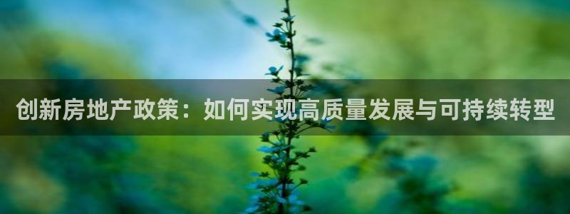 新宝5客户端登录：创新房地产政策：如何实现高质量发展与可持续