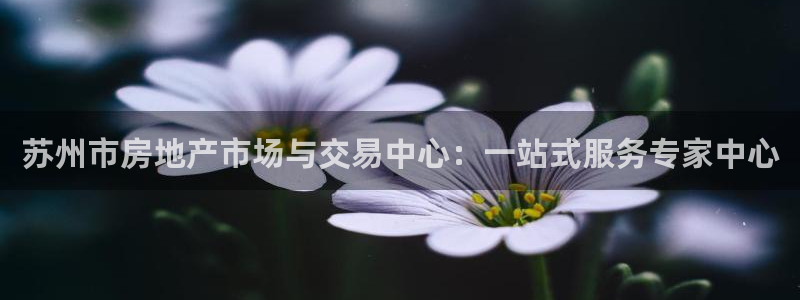 新宝5账号注册：苏州市房地产市场与交易中心：一站式服务专家中