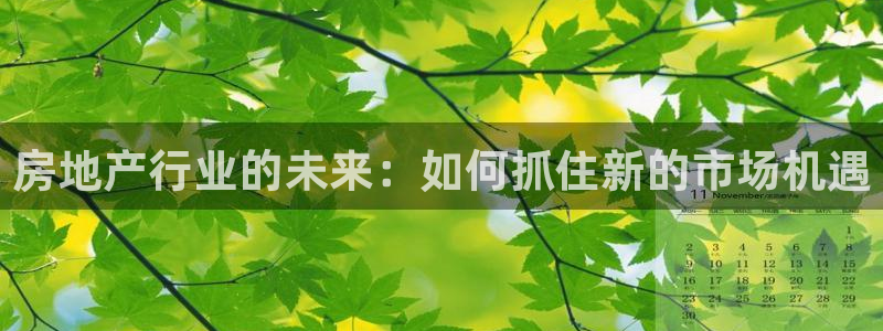 新宝堂新会陈皮5年：房地产行业的未来：如何抓住新的市场机遇