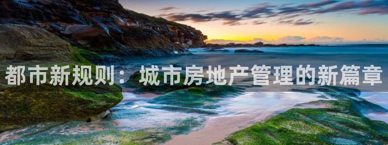 新宝5找找74OOO5：都市新规则：城市房地产管理的新篇章