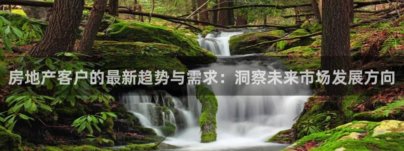 新宝5下载到桌面