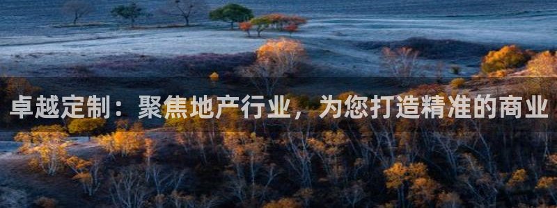 新宝5平台登录：卓越定制：聚焦地产行业，为您打造精准的商业