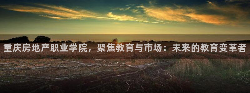 新宝5什么时候上市：重庆房地产职业学院，聚焦教育与市场：未来