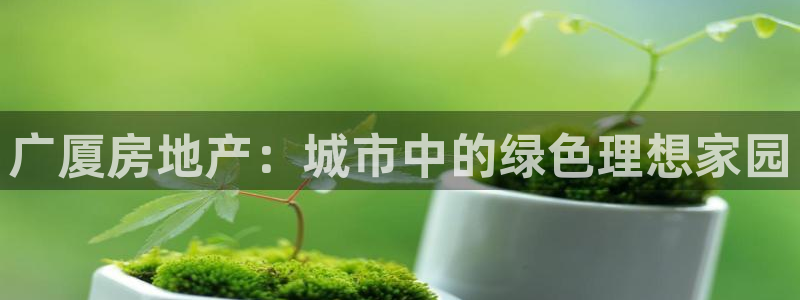 新宝5平台登录下载软件