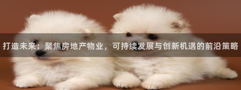 新宝5注册霸：打造未来：聚焦房地产物业，可持续发展与创新机遇