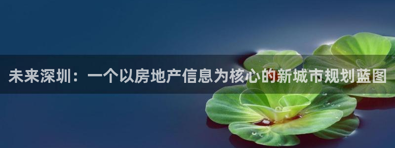 新宝5平台登录注册