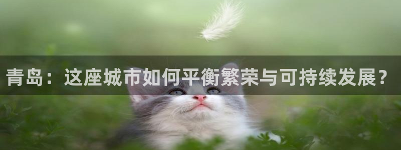 新宝5手机测速：青岛：这座城市如何平衡繁荣与可持续发展？