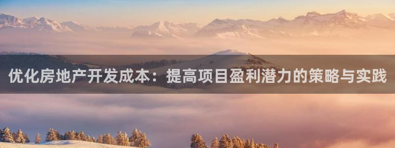 新宝5尤74OOO5：优化房地产开发成本：提高项目盈利潜力的