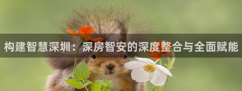 新宝5娱乐没：构建智慧深圳：深房智安的深度整合与全面赋能