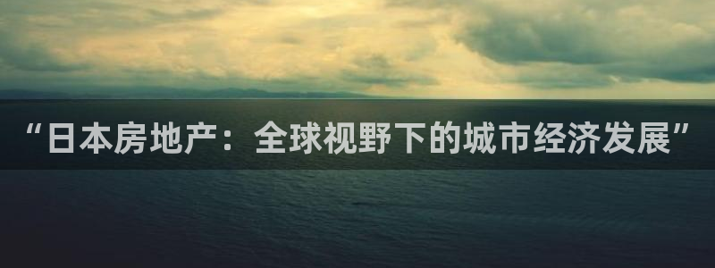 i新宝5：“日本房地产：全球视野下的城市经济发展”
