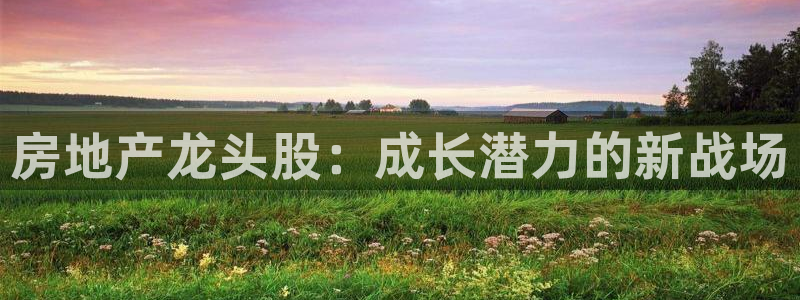 新宝新5：房地产龙头股：成长潜力的新战场