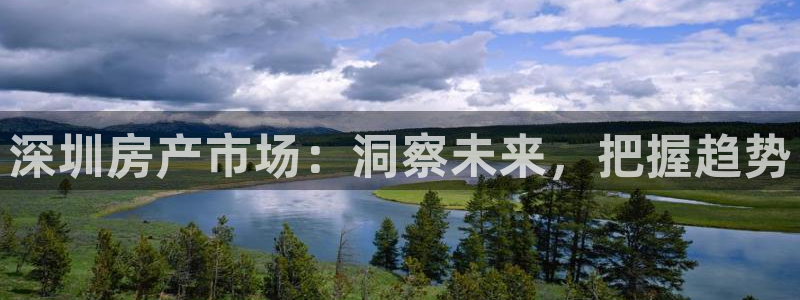 新宝5 888：深圳房产市场：洞察未来，把握趋势
