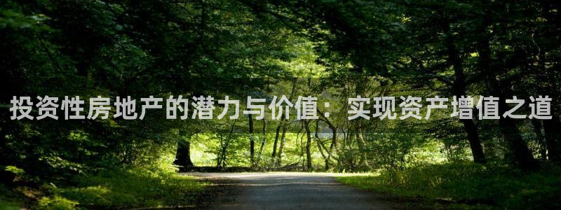 新5宝：投资性房地产的潜力与价值：实现资产增值之道