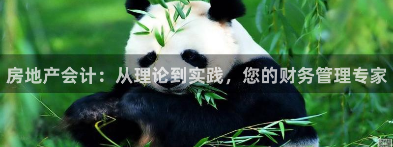 新宝5是什么样子的：房地产会计：从理论到实践，您的财务管理专