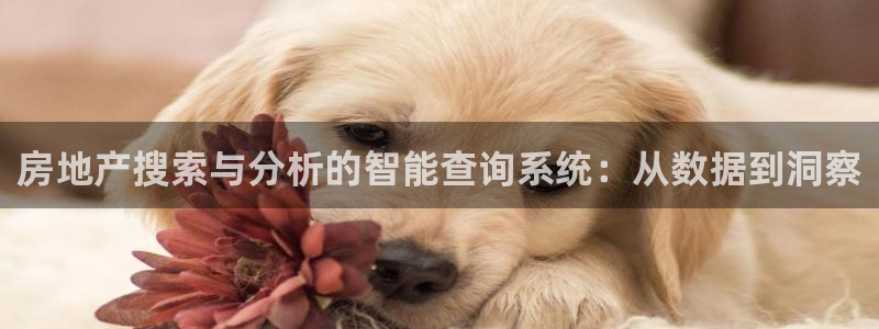 新宝5app：房地产搜索与分析的智能查询系统：从数据到洞察