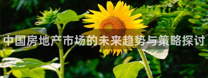 新宝5官方网站：中国房地产市场的未来趋势与策略探讨