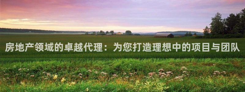 新宝5注册首页：房地产领域的卓越代理：为您打造理想中的项目与