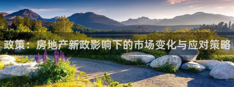 新宝5娱乐都：政策：房地产新政影响下的市场变化与应对策略