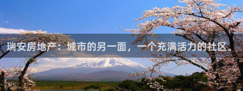 新宝5上70 667：瑞安房地产：城市的另一面，一个充满活力