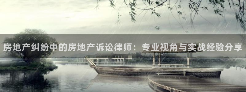 新宝5网：房地产纠纷中的房地产诉讼律师：专业视角与实战经验分